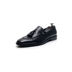 Ανδρικά Loafers Exotic Leather Oxford Dress