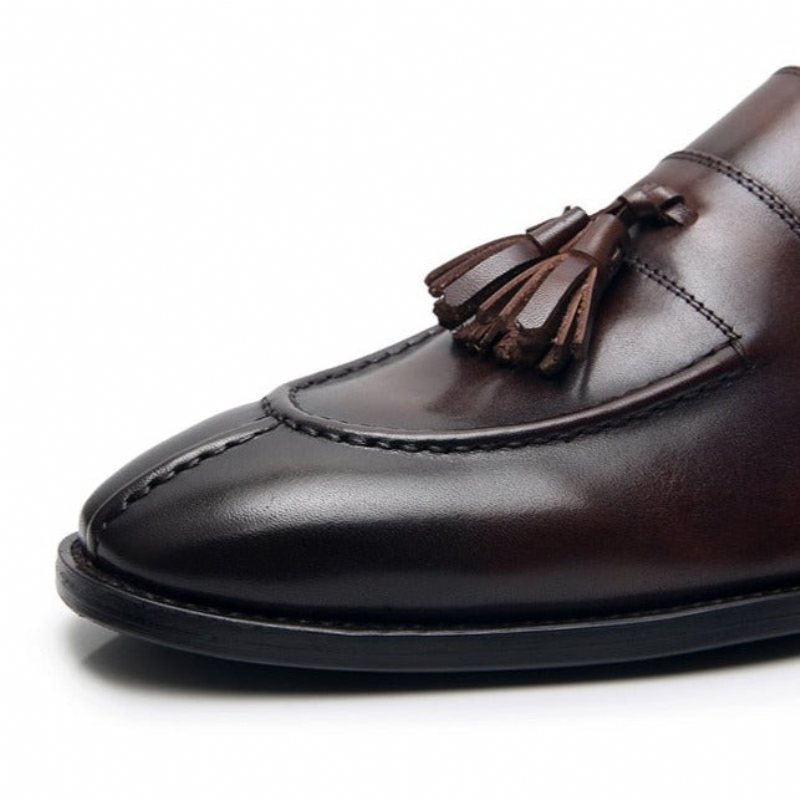 Ανδρικά Loafers Exotic Leather Oxford Dress - Καφές