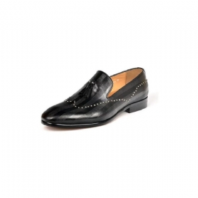 Ανδρικά Loafers Exotic Tassel