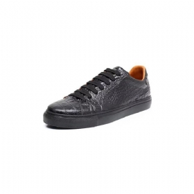 Ανδρικά Sneakers Lace-up Exotic