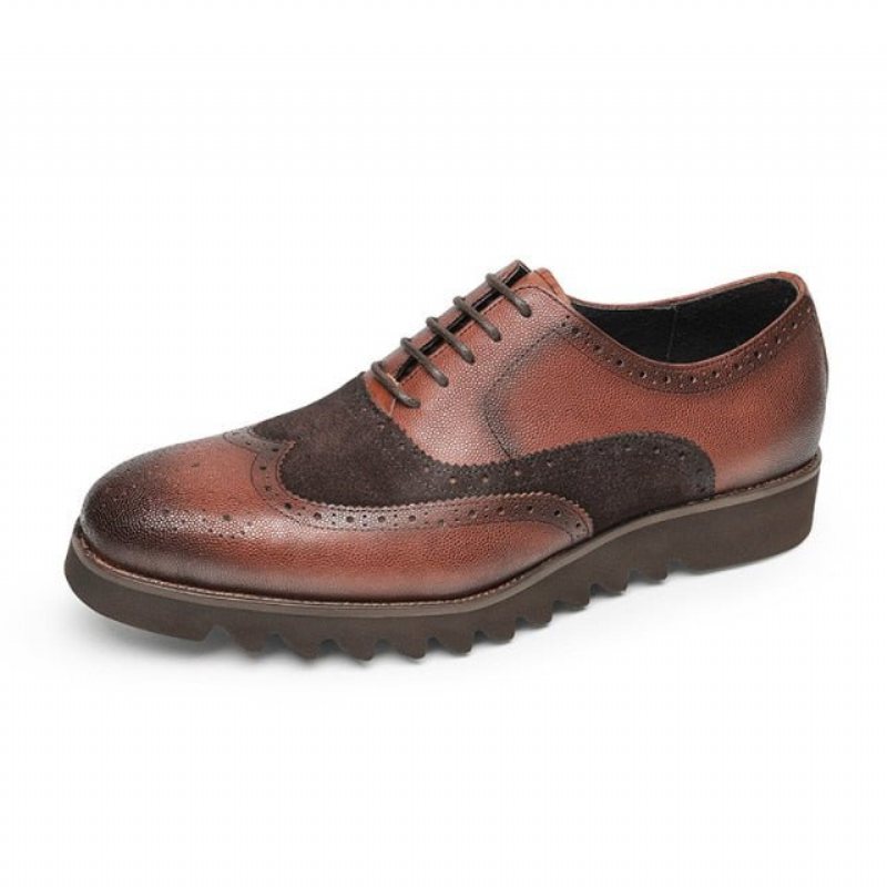 Ανδρικά Επίσημα Παπούτσια Alligator Πολυτέλεια Wingtip Brogue Casual - Καφές