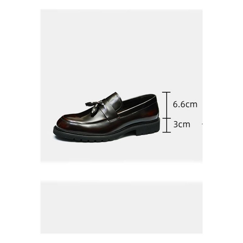 Ανδρικά Επίσημα Παπούτσια Classic Slip-on Tassel Loafers - Βουργουνδία