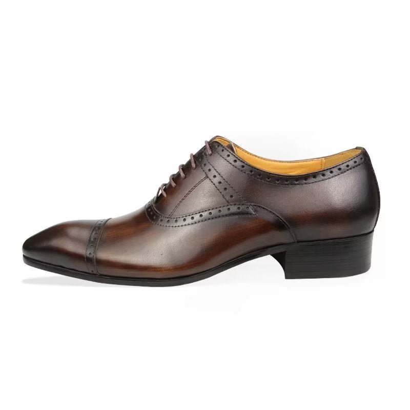 Ανδρικά Επίσημα Παπούτσια Deluxe Oxford Lavishnuptial Brogues - Καφές