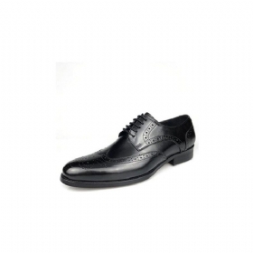 Ανδρικά Επίσημα Παπούτσια Exotic Cow Leather Lace-up Oxford