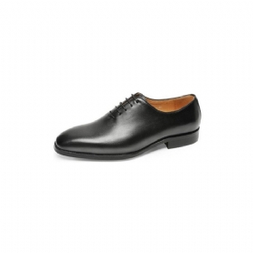 Ανδρικά Επίσημα Παπούτσια Exotic Lace-up Oxford Φόρεμα