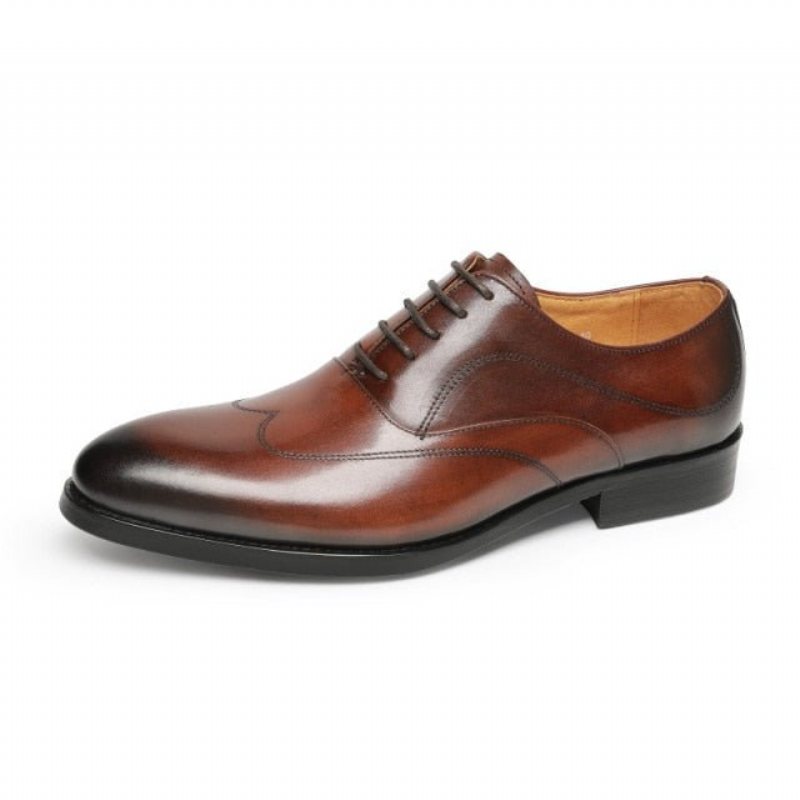 Ανδρικά Επίσημα Παπούτσια Exotic Lace-up Oxford Φόρεμα - Καφέ