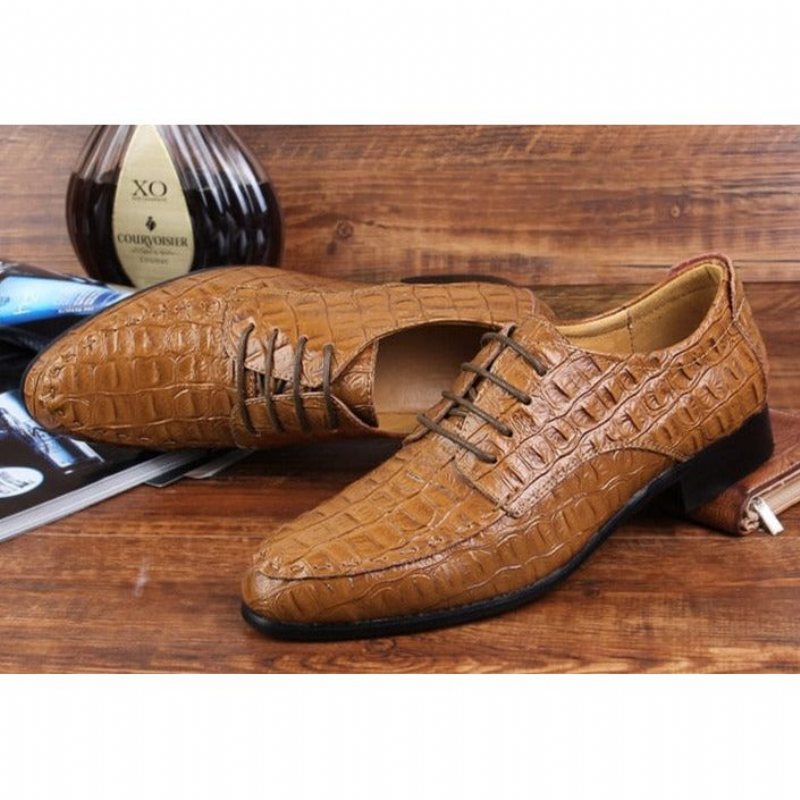 Ανδρικά Επίσημα Παπούτσια Exotic Lace-up Ντέρμπι - Καφές