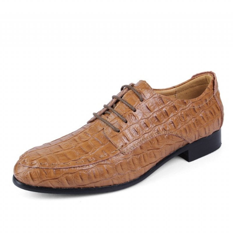 Ανδρικά Επίσημα Παπούτσια Exotic Lace-up Ντέρμπι - Καφές