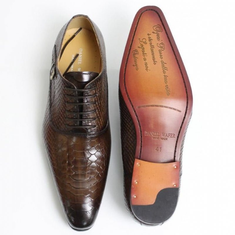 Ανδρικά Επίσημα Παπούτσια Exotic Serpent Pointed Toe Oxford Φόρεμα - Καφές