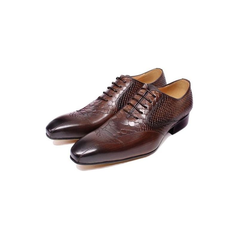 Ανδρικά Επίσημα Παπούτσια Snakeskin Elegance Lace-up Brogue Φόρεμα - Καφές