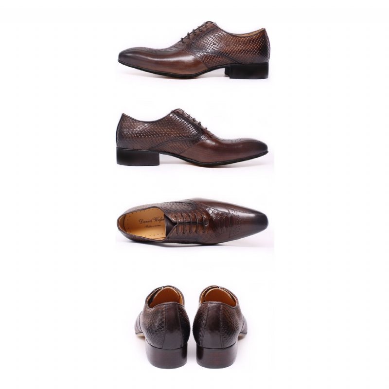 Ανδρικά Επίσημα Παπούτσια Snakeskin Elegance Lace-up Brogue Φόρεμα - Καφές