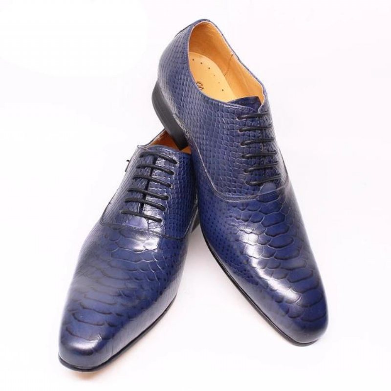 Ανδρικά Επίσημα Παπούτσια Μπορντό Serpent Lace-up Oxford Φόρεμα - Μπλε