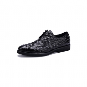 Ανδρικά Επίσημα Παπούτσια Πλούσιο Crocodile Leather Oxford Lace-up Casual