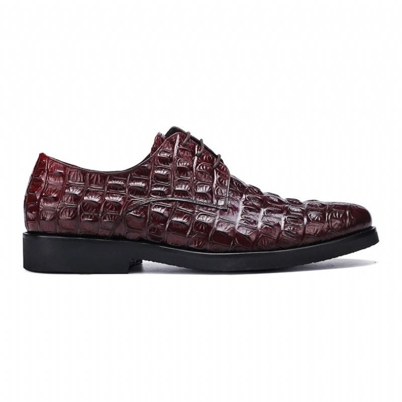 Ανδρικά Επίσημα Παπούτσια Πλούσιο Crocodile Leather Oxford Lace-up Casual - Κόκκινο