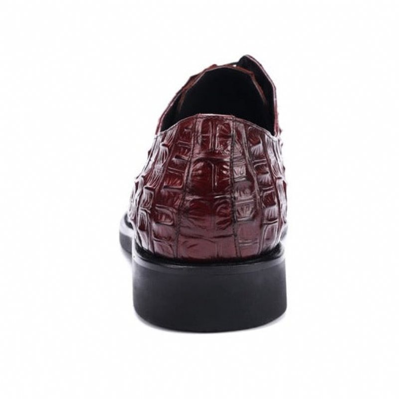 Ανδρικά Επίσημα Παπούτσια Πλούσιο Crocodile Leather Oxford Lace-up Casual - Κόκκινο