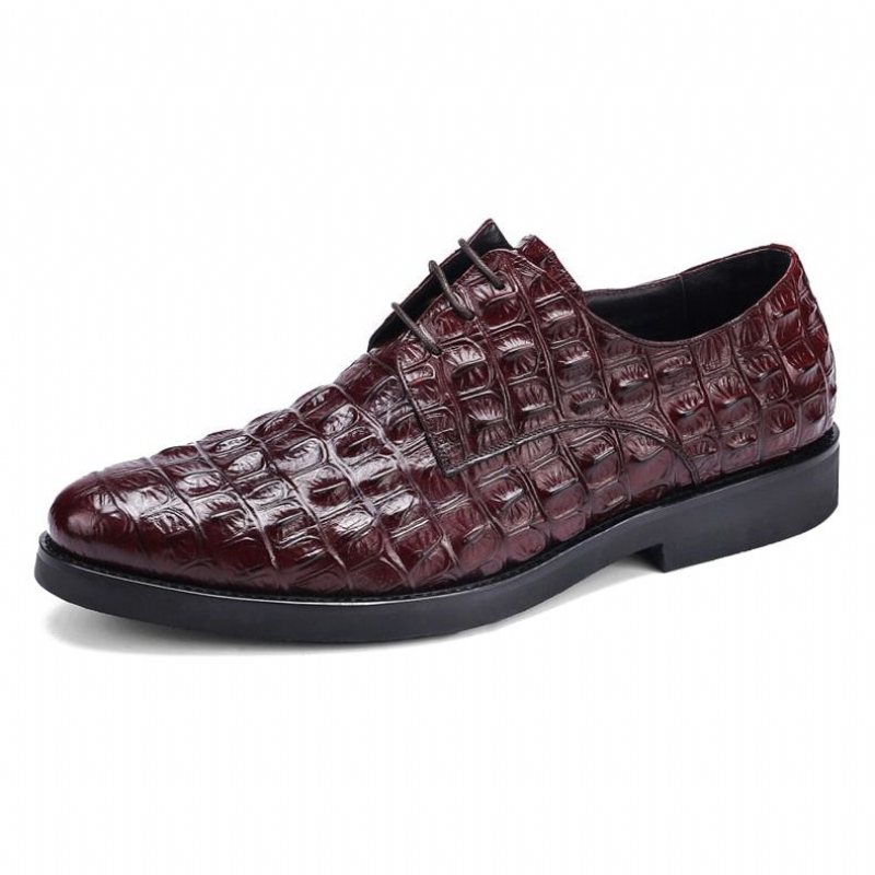 Ανδρικά Επίσημα Παπούτσια Πλούσιο Crocodile Leather Oxford Lace-up Casual - Κόκκινο