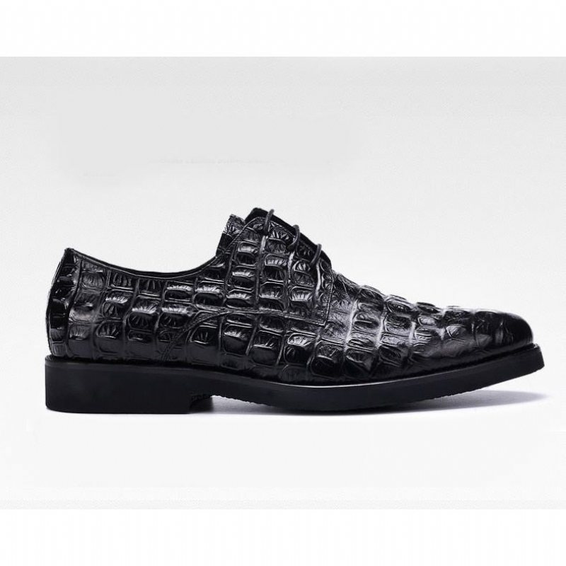 Ανδρικά Επίσημα Παπούτσια Πλούσιο Crocodile Leather Oxford Lace-up Casual - Μαύρο