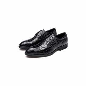 Ανδρικά Επίσημα Παπούτσια Πολυτέλεια Crocgloss Classic Brogue Φόρεμα