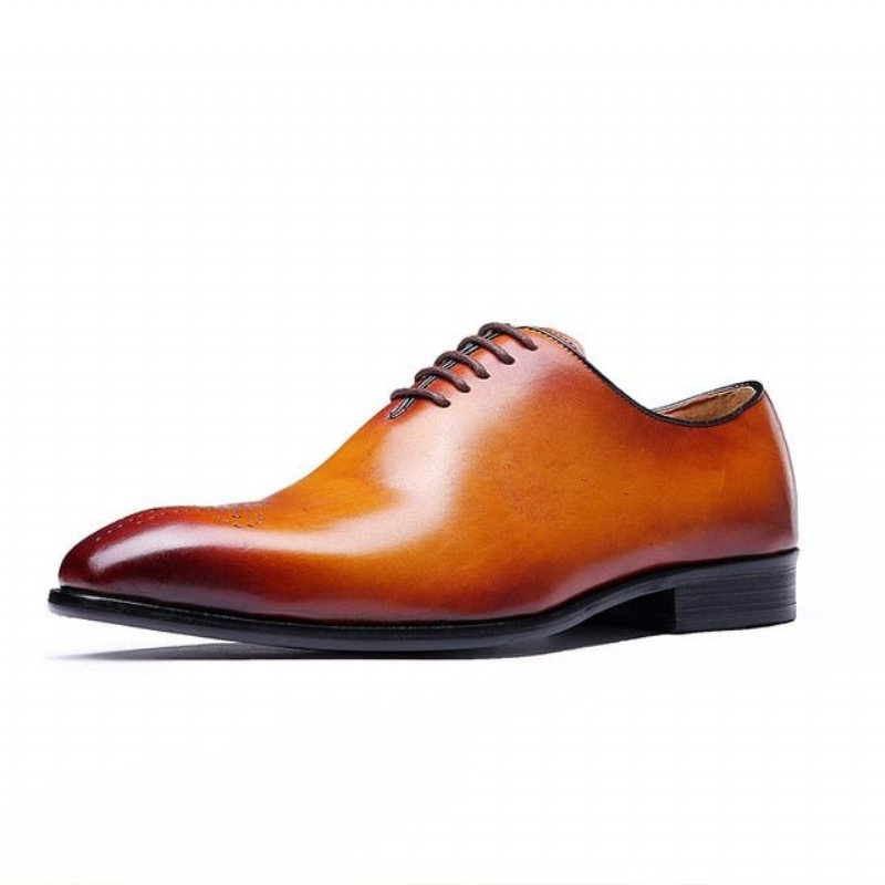 Ανδρικά Επίσημα Παπούτσια Φόρεμα Brogue Σε Στυλ Exotic Dot - Καφέ