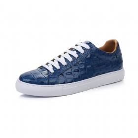 Ανδρικά Παπούτσια Casual Exotic Lace Up