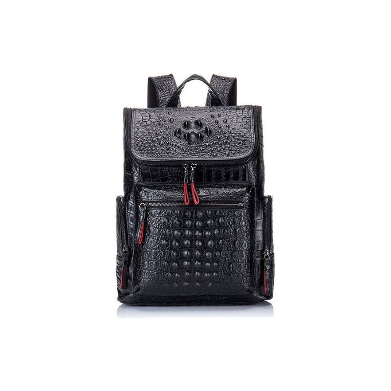 Ανδρικά Σακίδια Πλάτης Exotic Zipper Softback Flap Backpack - Καφές