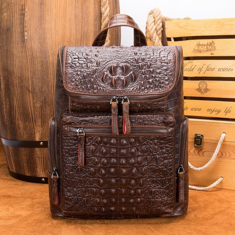 Ανδρικά Σακίδια Πλάτης Exotic Zipper Softback Flap Backpack - Καφές