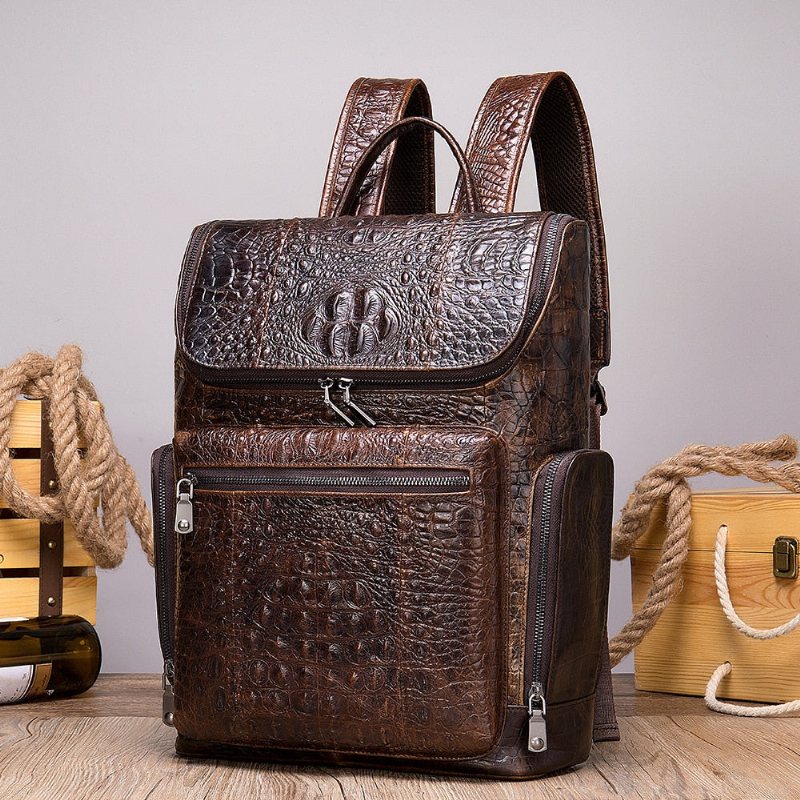 Ανδρικά Σακίδια Πλάτης Vintage Chic Leather Tech Travel Backpack - Καφές