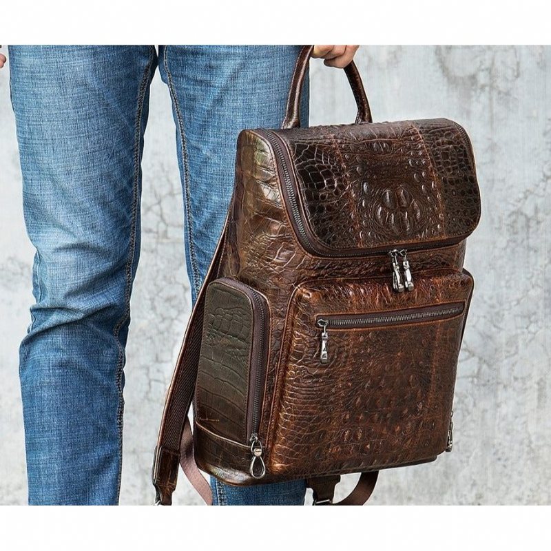 Ανδρικά Σακίδια Πλάτης Vintage Chic Leather Tech Travel Backpack - Καφές