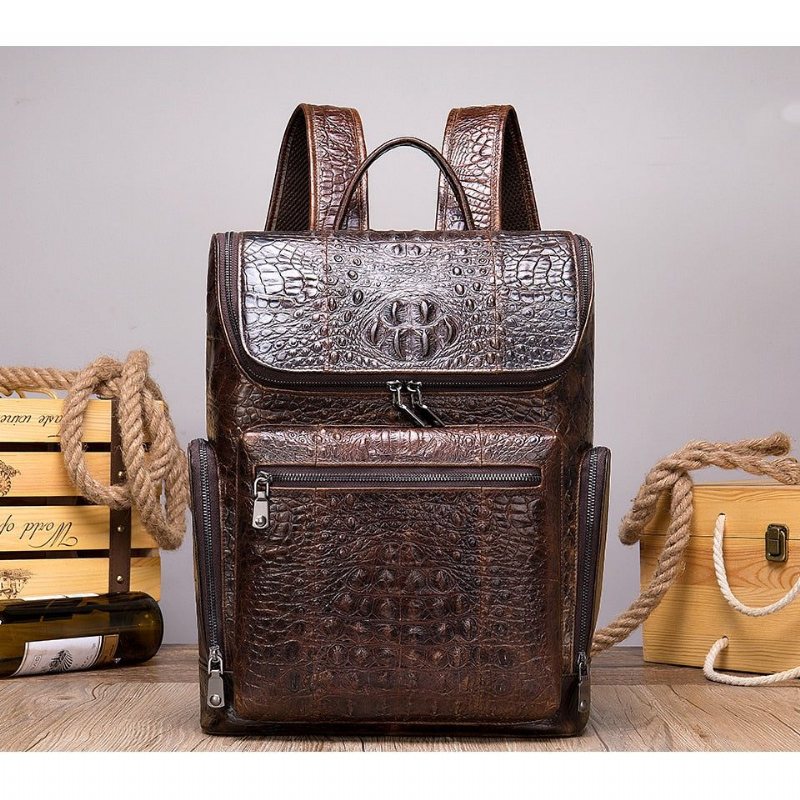 Ανδρικά Σακίδια Πλάτης Vintage Chic Leather Tech Travel Backpack - Καφές